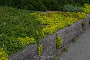 Foto: Evely Karvak