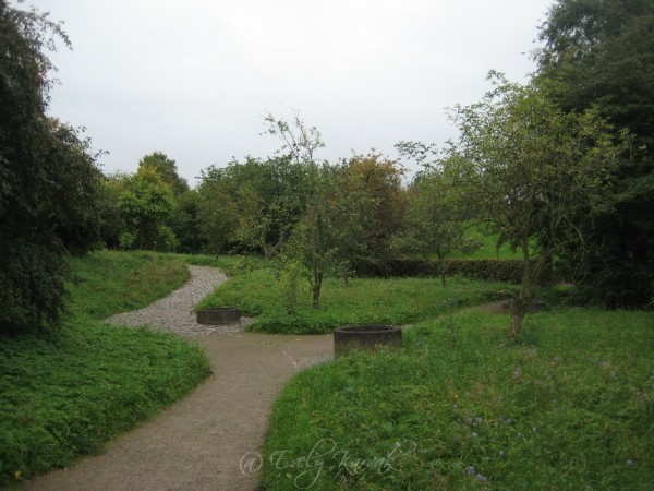 Kogu madal roheline ala saab olla niitmata. Teed piiravad madalad servad loovad korrastatud mulje. Südpark Düsseldorf. Aiakujundus. Muru asemel_00013