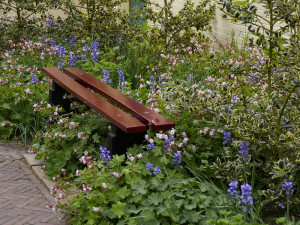 5. Kortslehed, kurerehad, kõrrelised ja longus ebahüatsindid ümbritsevad istepinki. Amsterdam Keukenhof